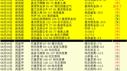里昂友谊赛战绩解析开云资讯：11胜9负，真相与潜在问题